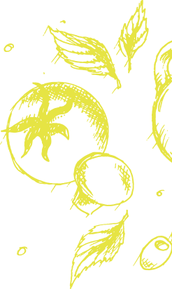 About Section Decorative Shape About Section Decorative Shape