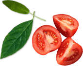 Decorative Shape for About Section